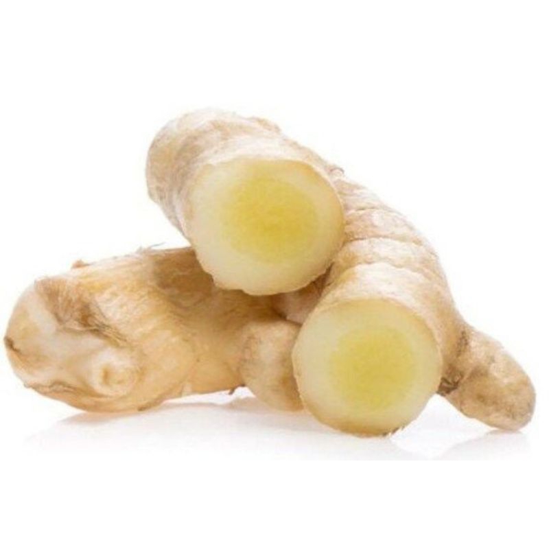 

kunyit putih temu putih organik fresh 1kg