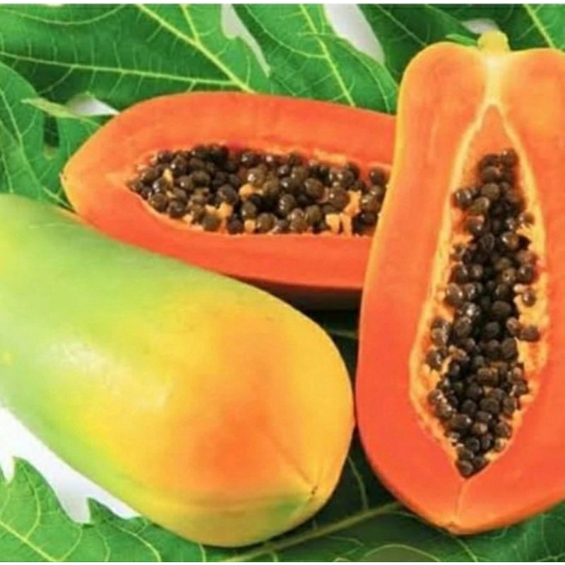 

Buah Pepaya California