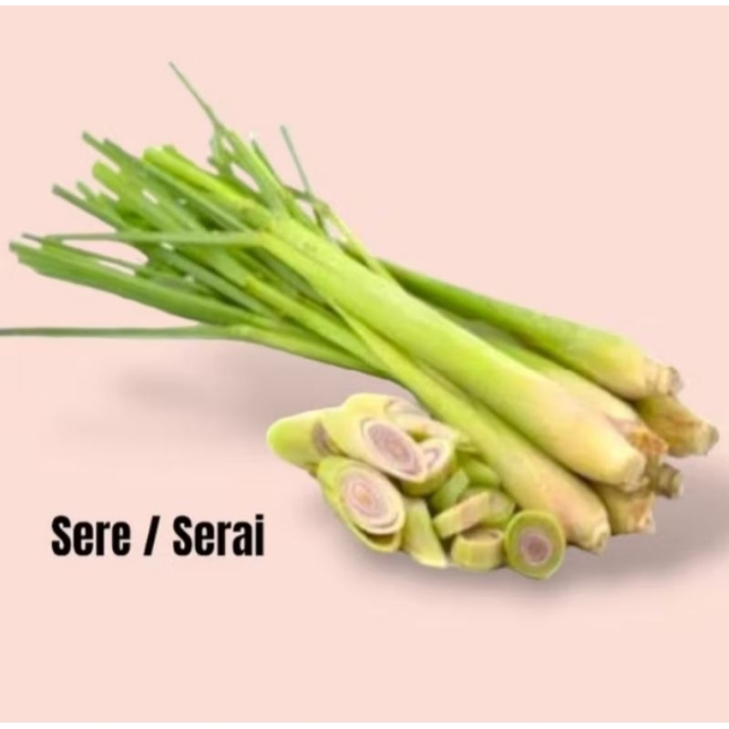 

sere / serai dapur 1kg