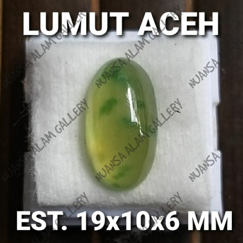 Batu Permata Nusantara Aceh Series Lumut Aceh Top Kristal Giwang Totol Sayur Natural Idocrase Size K