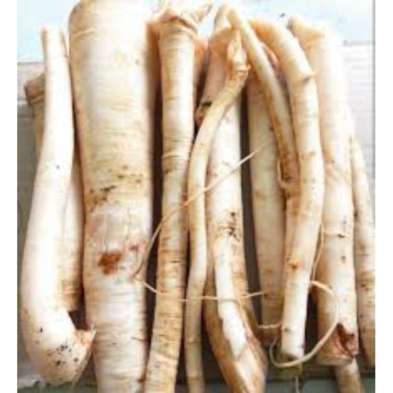 

AKAR PEPAYA 1KG