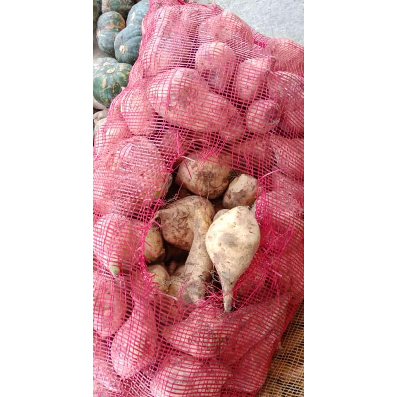 

telo madu kuning manis masir