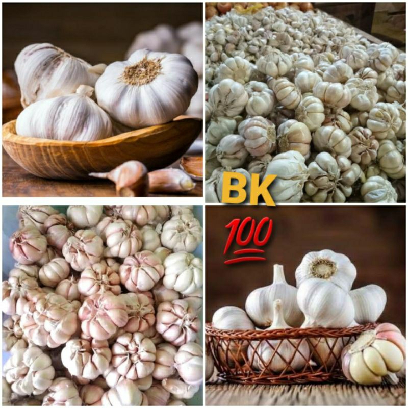 

BAWANG PUTIH REMPAH-REMPAH SEBAGAI BUMBU MASAK 250 Gr / 500 Gr / 1 Kg
