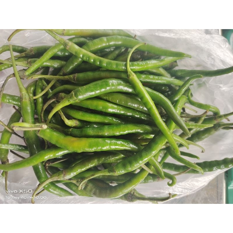 

Cabai keriting hijau