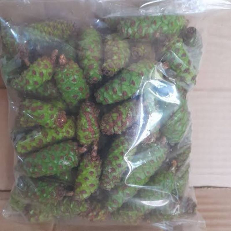 

Buah Pinus Segar 500 gram Obat Herbal