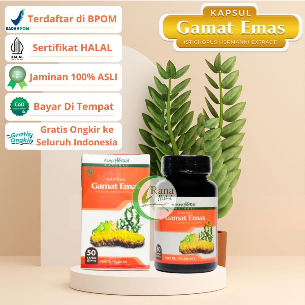 Kapsul Gamat Emas  - ORIGINAL jelly gamat kapsul