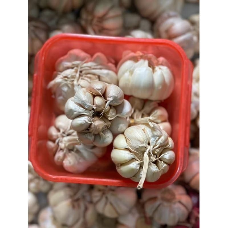 

BAWANG PUTIH SEGAR 1KG || BAWANG PUTIH SUPER