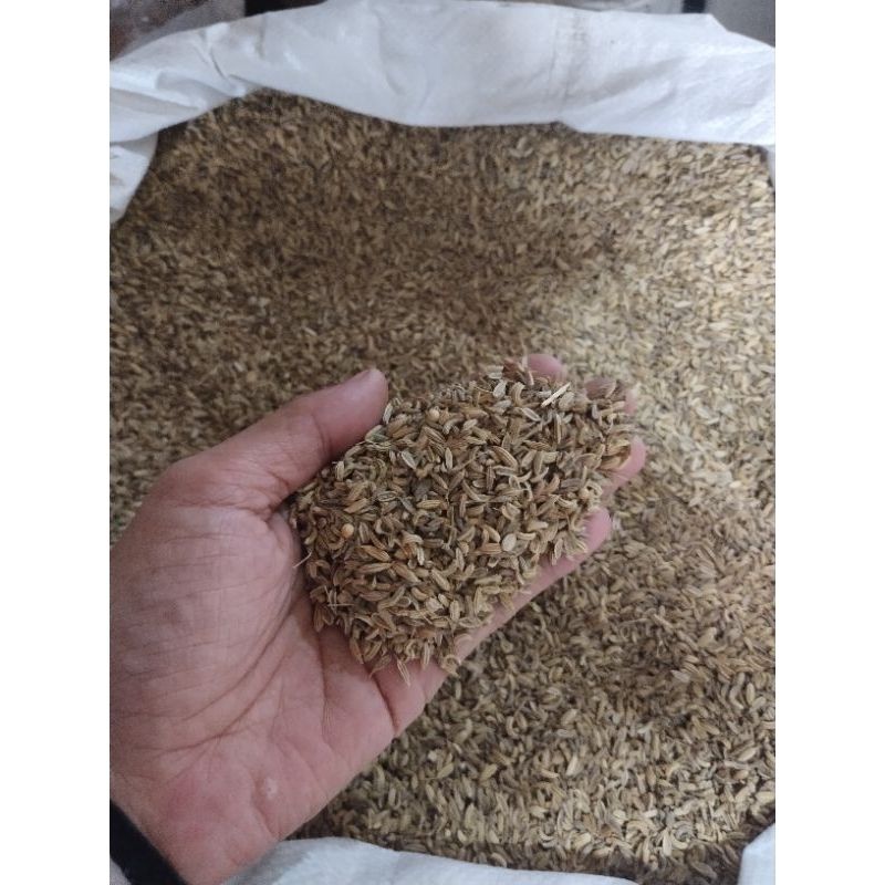 

jintan berat 100 gram