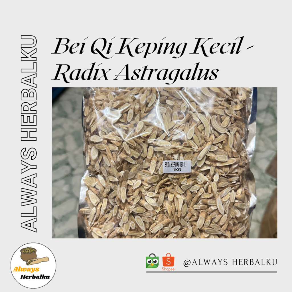 

Pak khi keping kecil / Bei qi / Radix astragalus / Huang qi (500 gram)