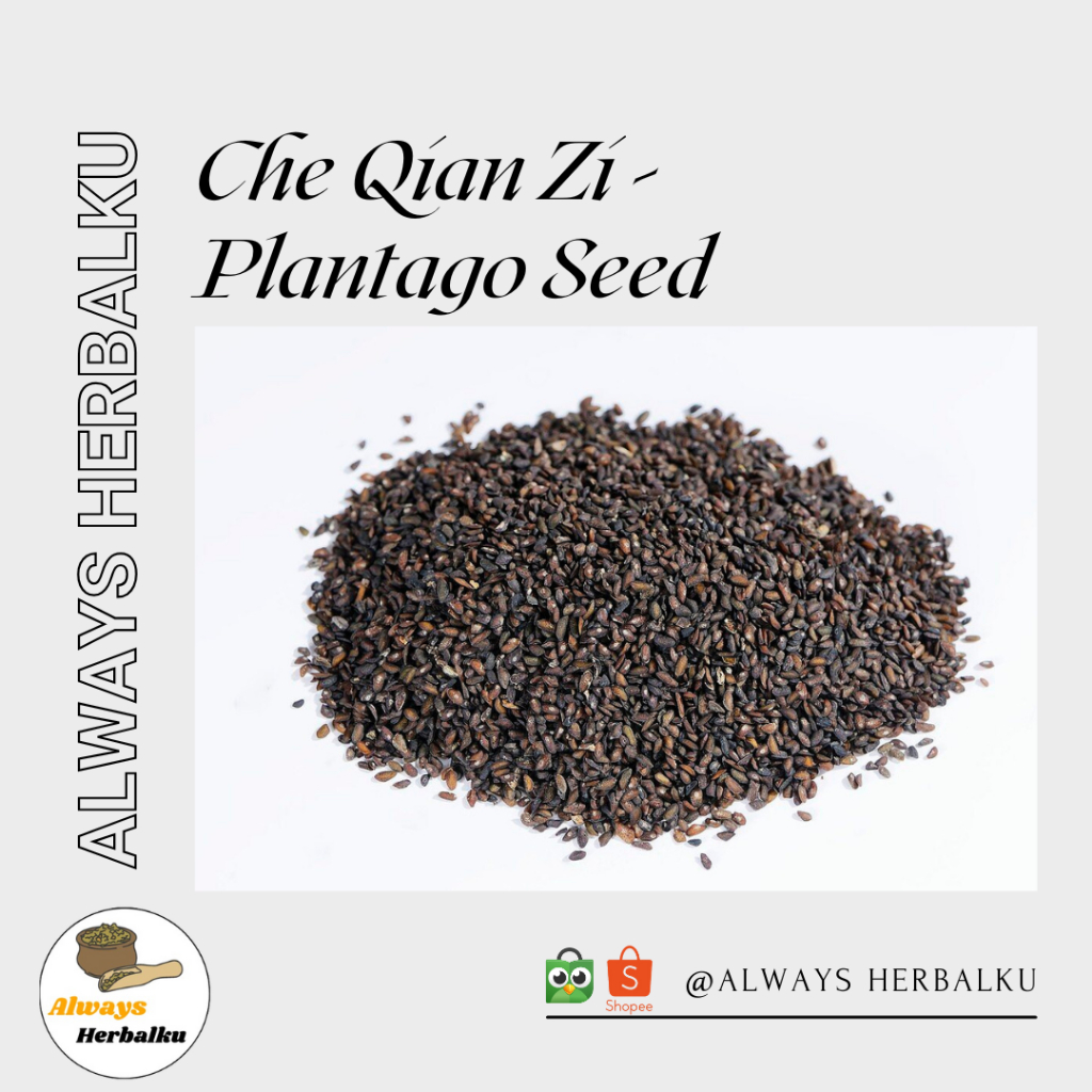 

Che qian zi / plantago seed / plantago asiatica (50gr)