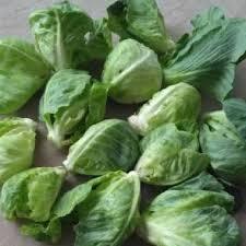 

sayur ceriwis segar