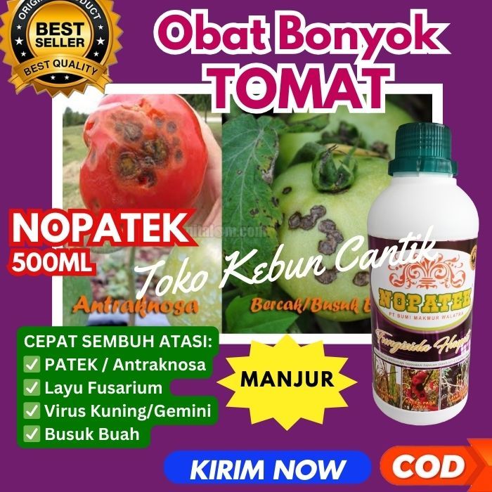 NOPATEK - Fungisida dan Bakterisida Hayati Andalan untuk Tanaman Padi, Hortikultura (Cabe, Tomat, Sa