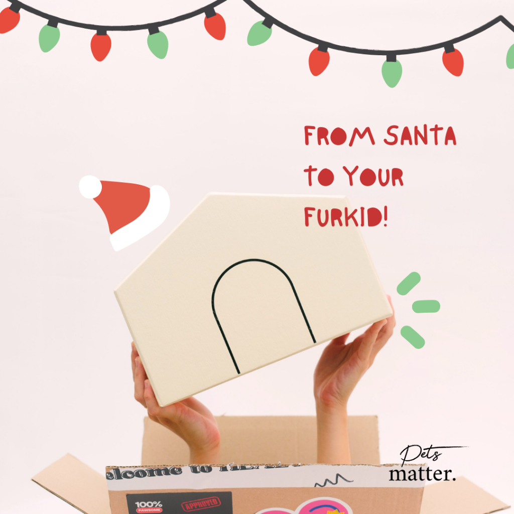 

CHRISTMAS DOG HAMPERS 2024