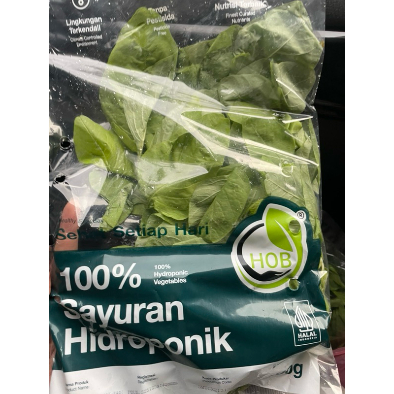 

100% Sayur Hidroponik HOB