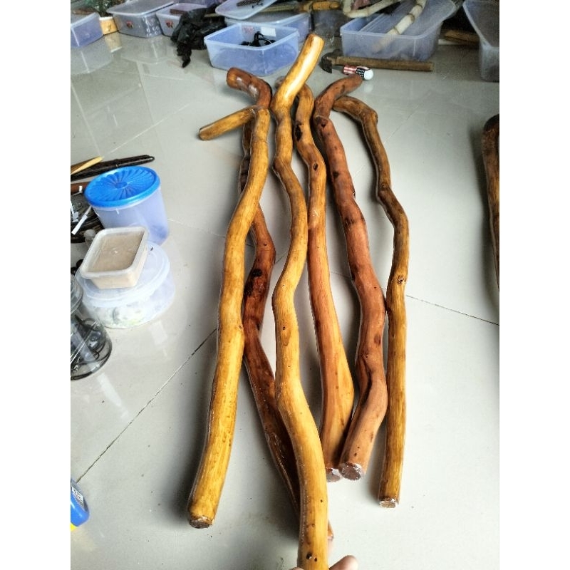 tongkat kayu stigi laut super