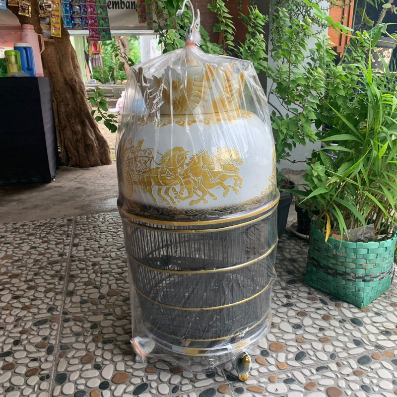 SANGKAR PERKUTUT MOTIF ELEGAN