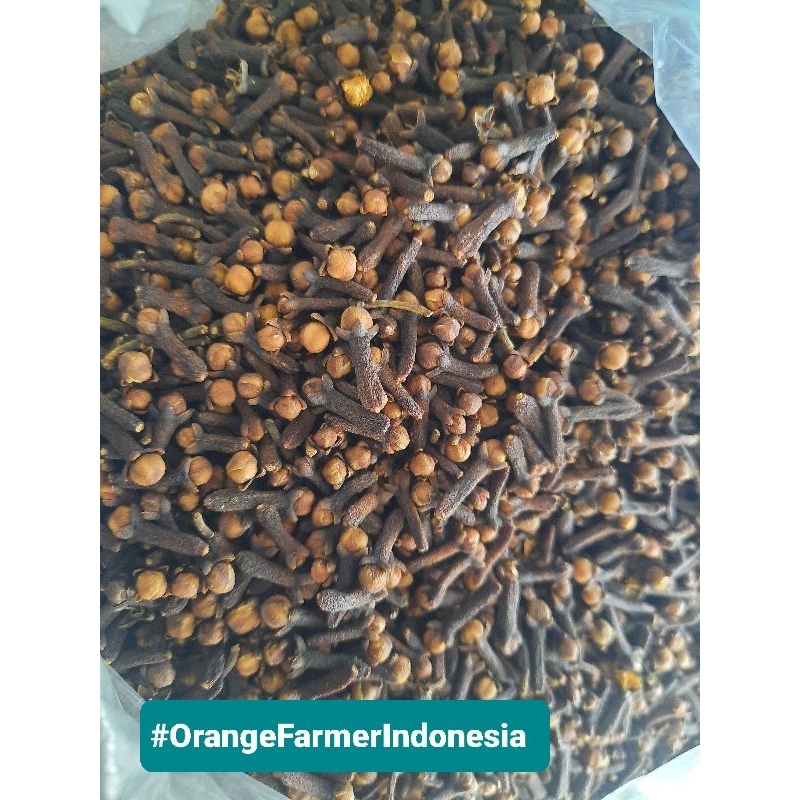 

Cengkeh Kering 1kg Fresh