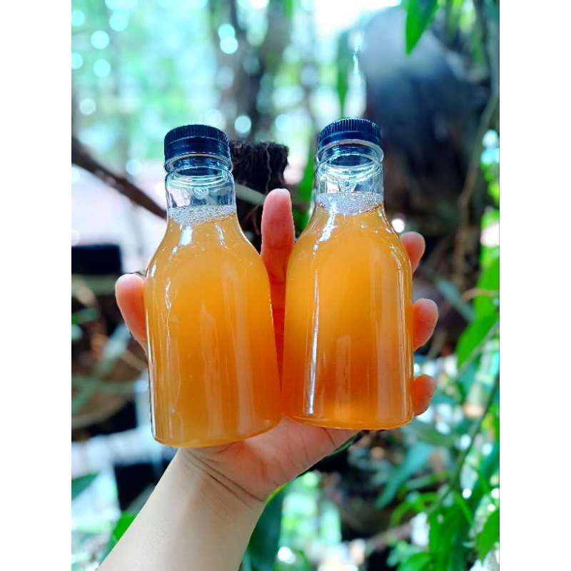 

KombuchaOriginal250ml