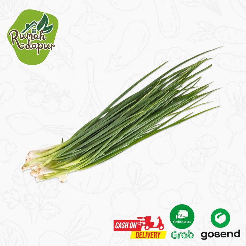 

DAUN BAWANG PERIKAT