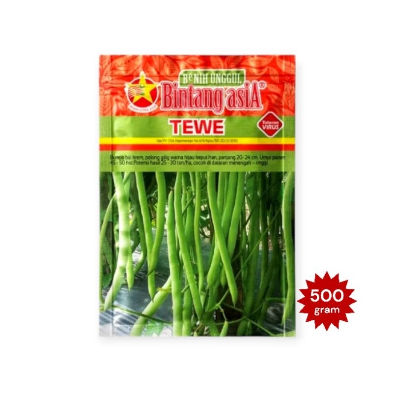 TEWE 500 gram Benih Buncis Bintang Asia Benih Buncis Tewe 100% peacking pabrik