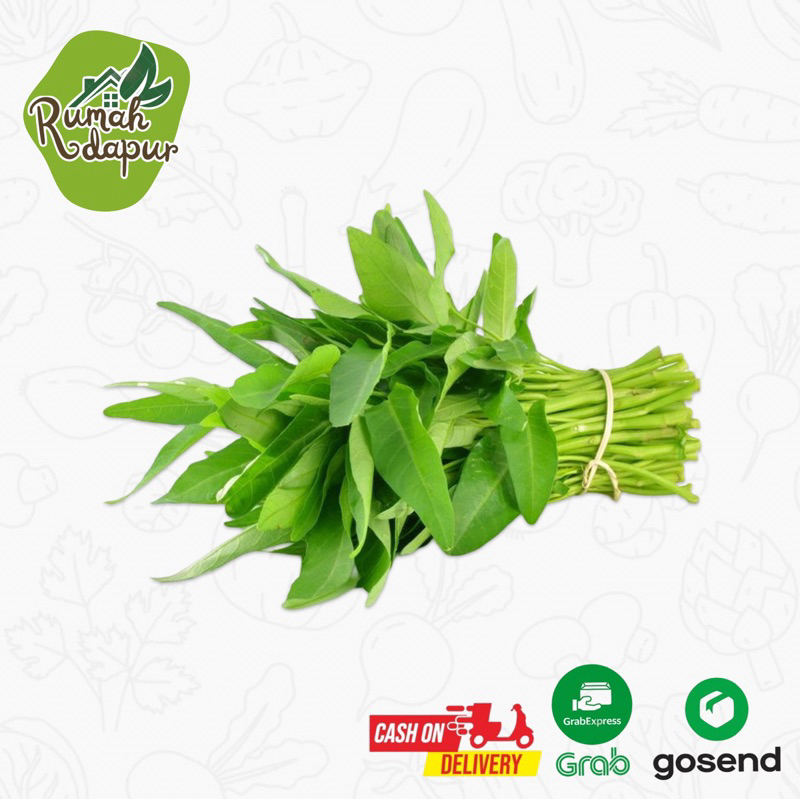 

SAYUR KANGKUNG SEGAR / PERIKAT