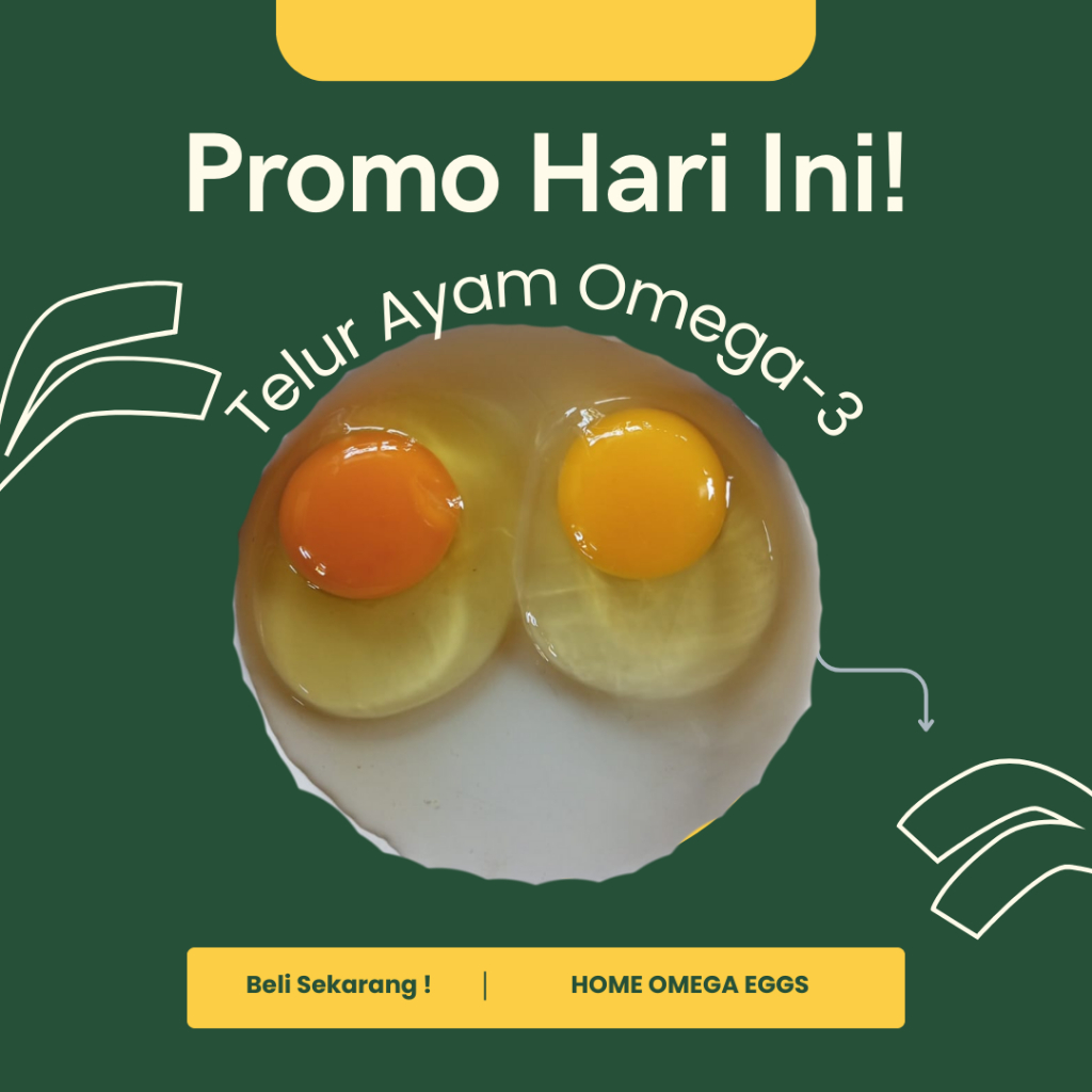 

Home Omega Eggs Telur Ayam Red Yolk (Omega-3) Isi 30 Pcs