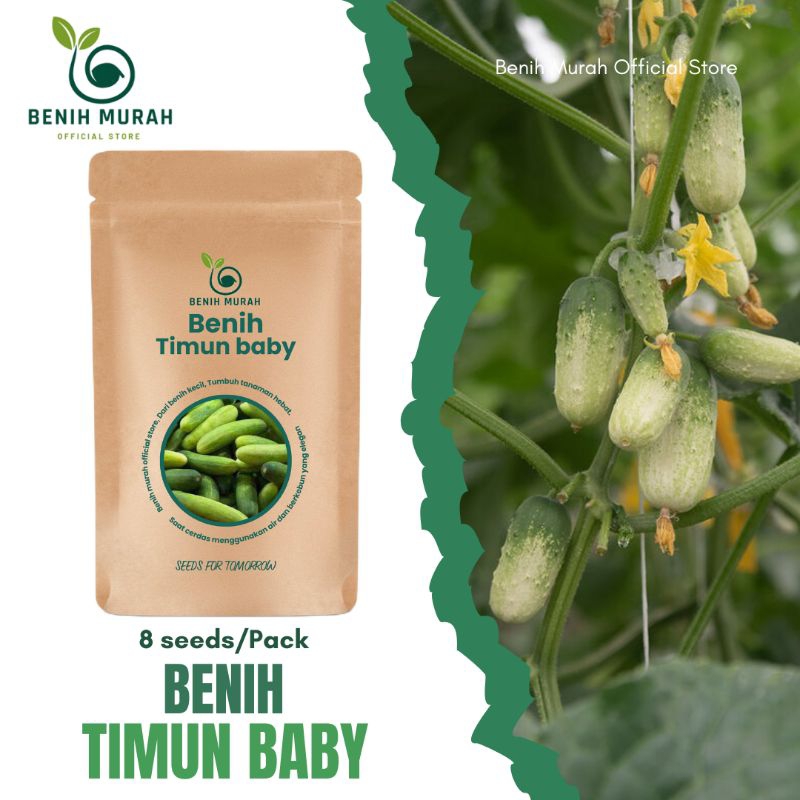 

Benih Unggul Timun Baby Atau Timun Mini /Bibit Sayur Berkualitas