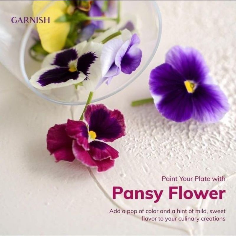 

Pansy