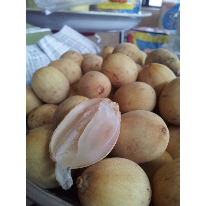 

Buah Duku segar
