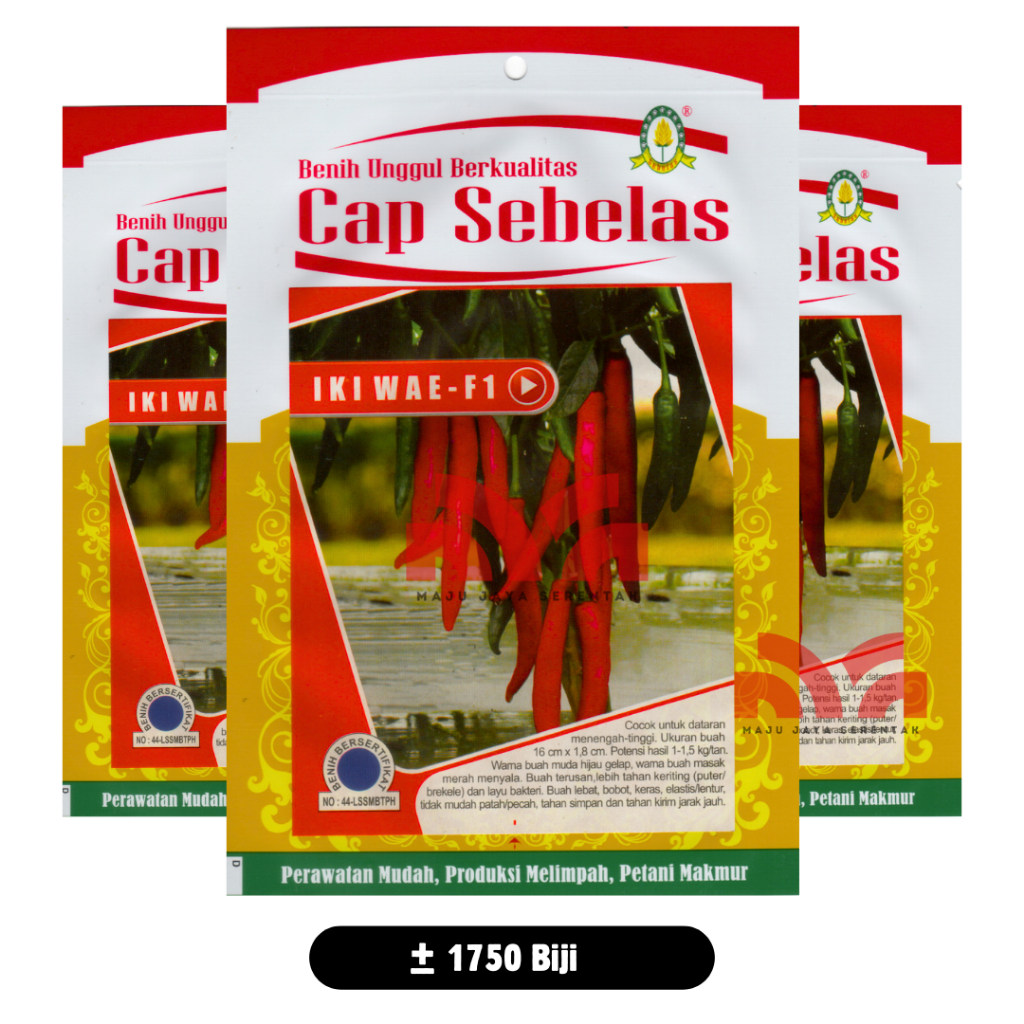 Cabe Merah Besar Tahan Virus Iki Wae F1