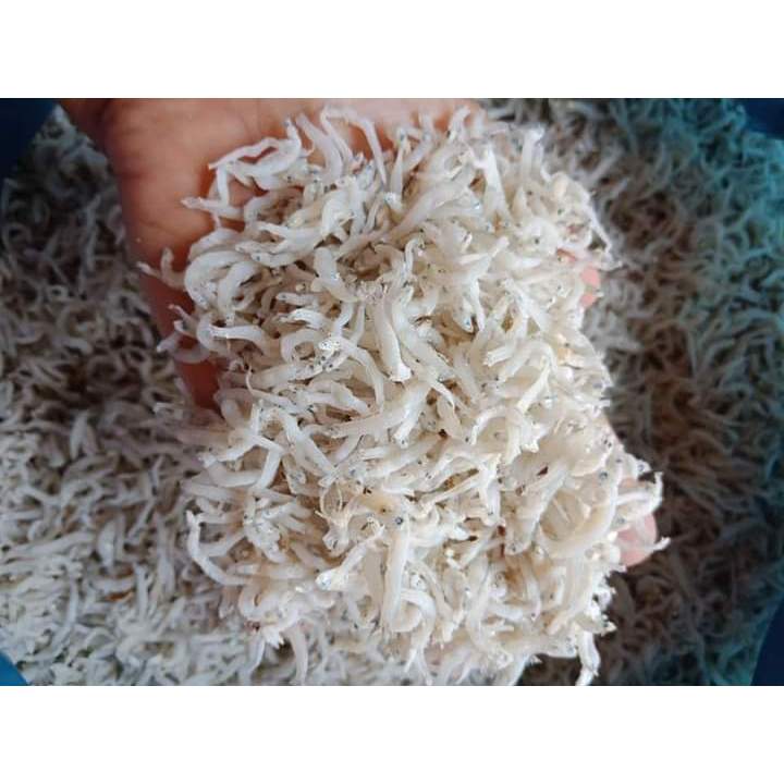 

IKAN TERI / IKAN TERI NASI MEDAN/TERI PUTIH BEST SELLER
