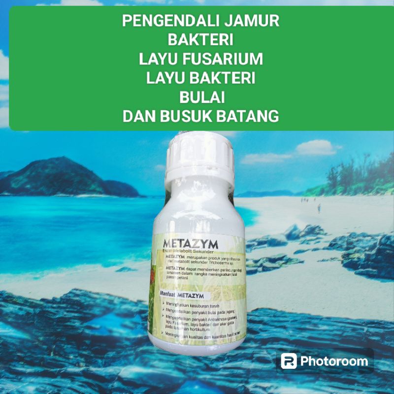 Fungisida obat jamur anti Bulai Dan Busuk Batang Jagung ampuh Metazym 250 ml