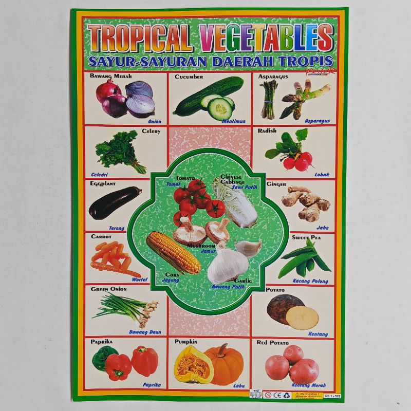 

Poster Anak Edukasi Mengenal Sayuran Daerah Tropis