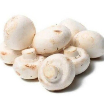 

Jamur Kancing 250gram