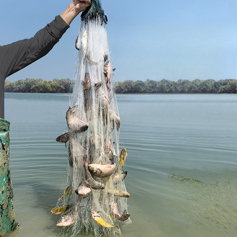 Jaring Pancing Jaring Lengket Jaring Kawat Jaring Tenggelam Jaring Apung Jaring Ikan Mas Crucian
