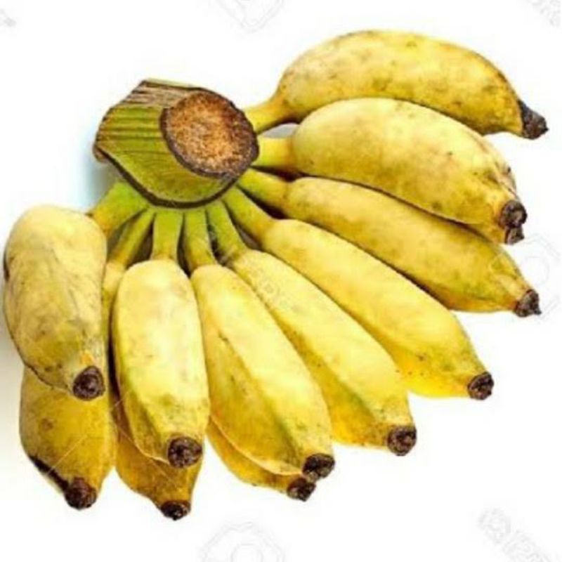 

Pisang Awak