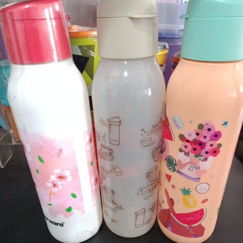 

ECO bottle fancy 750ml (1)