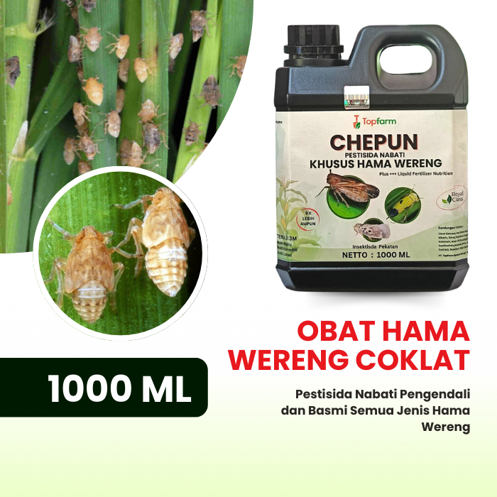 Insektisida Topfarm / Obat Wereng Cair Untuk Sawah / Obat Wereng Cair Topfarm / Obat Hama Wereng Pal