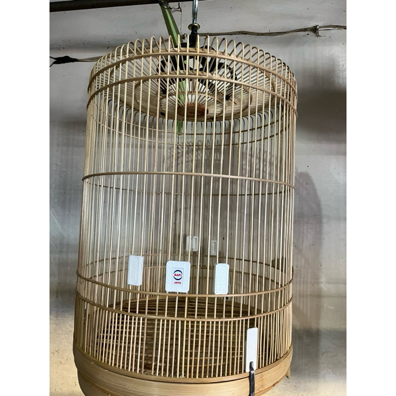 Sangkar Kandang Murai Rafi Mentah