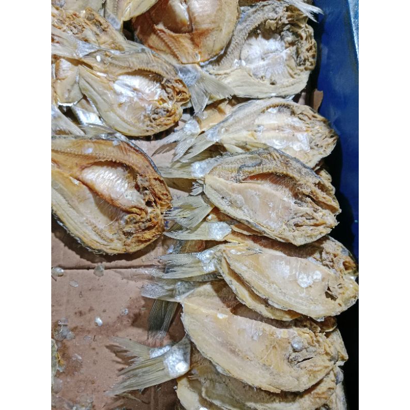 

ikan asin tawes 100gr