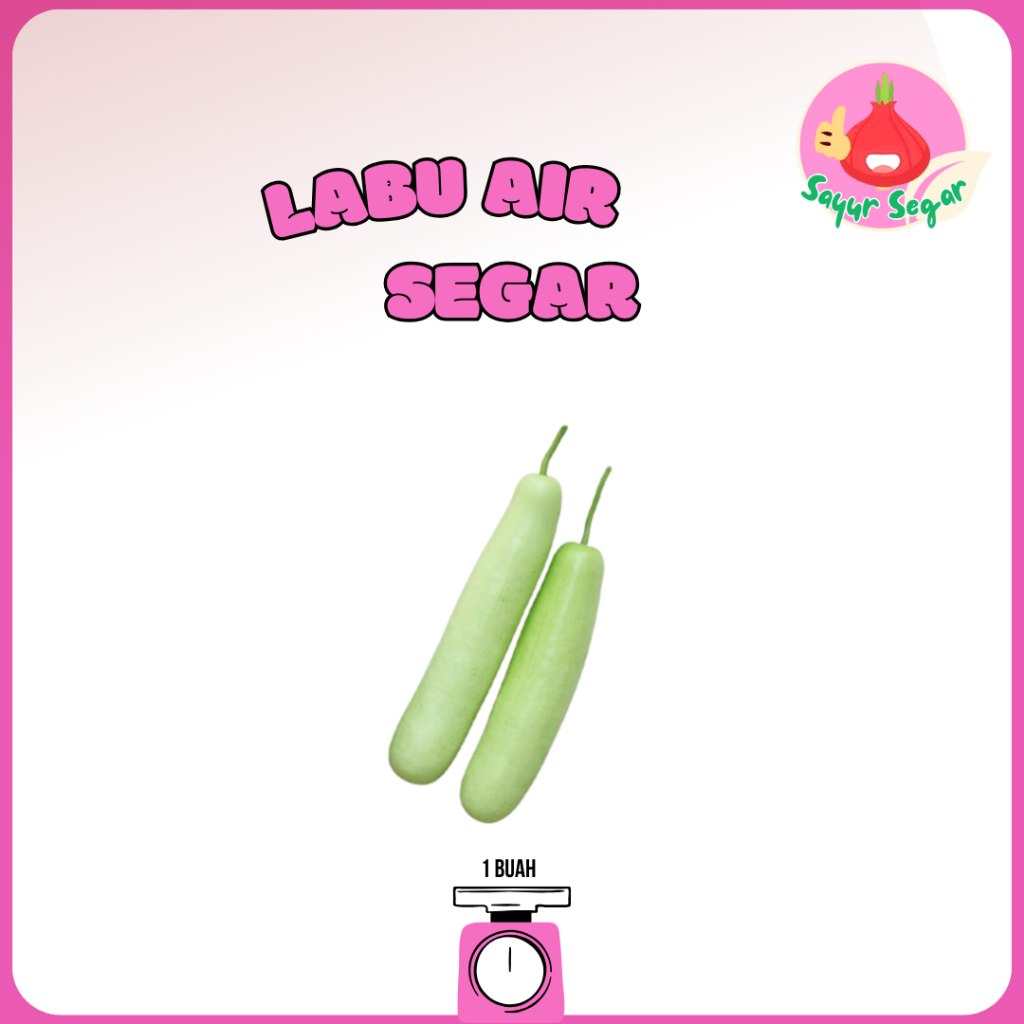 

Sayur Segar - Labu Air Panjang Segar 1 Buah / Long Bottle Gourd