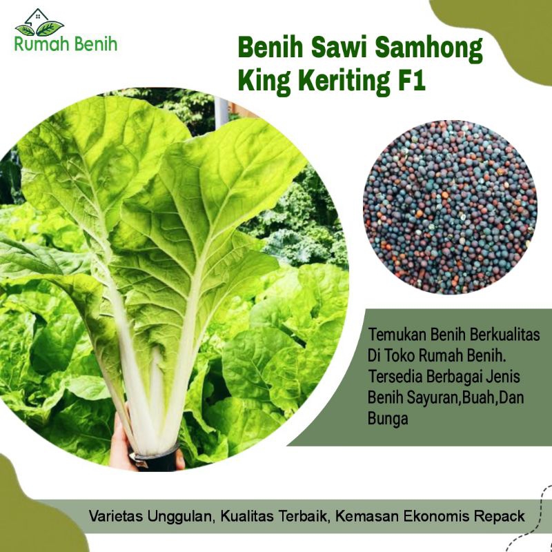 Benih Sawi Samhong King Keriting F1 / Bibit Benih Sayuran Sawi / Biji Benih Sayuran Sawi / Benih Saw