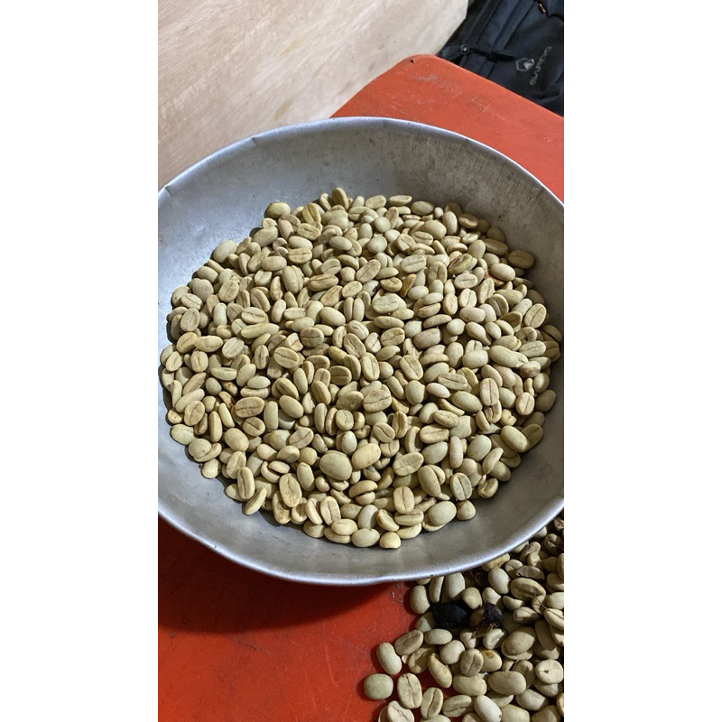 Bibit Kopi Arabika Ateng Super Unggulan Aceh Gayo 1000 gr