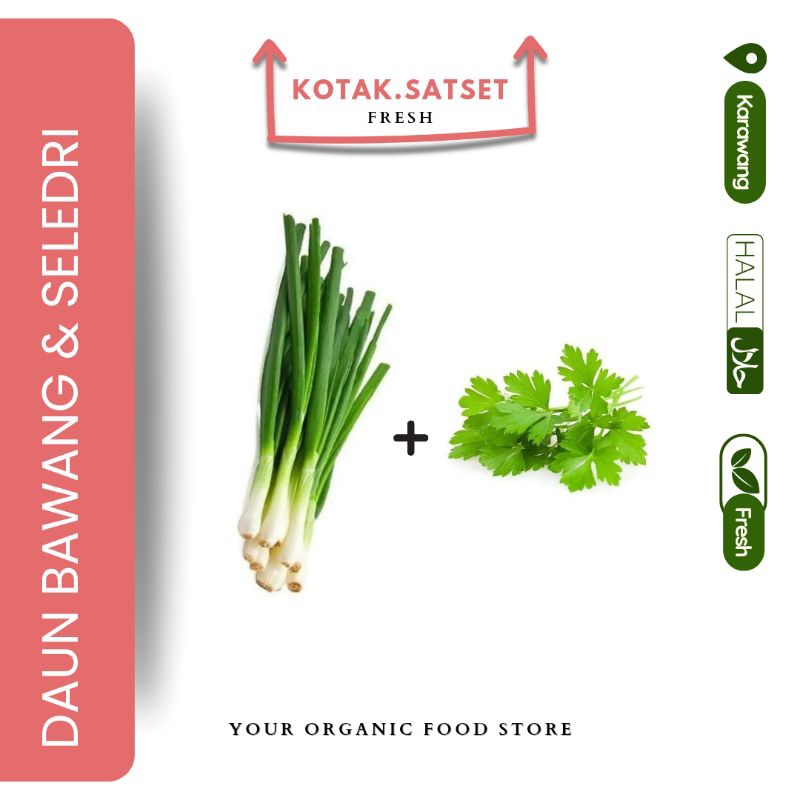 

Daun Bawang & Seledi Kotak.Satset Fresh sayur karawang