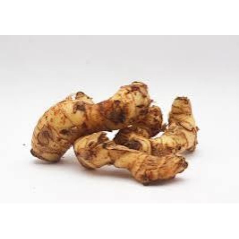 

LENGKUAS UNTUK BUMBU MASAKAN DAN KESEHATAN