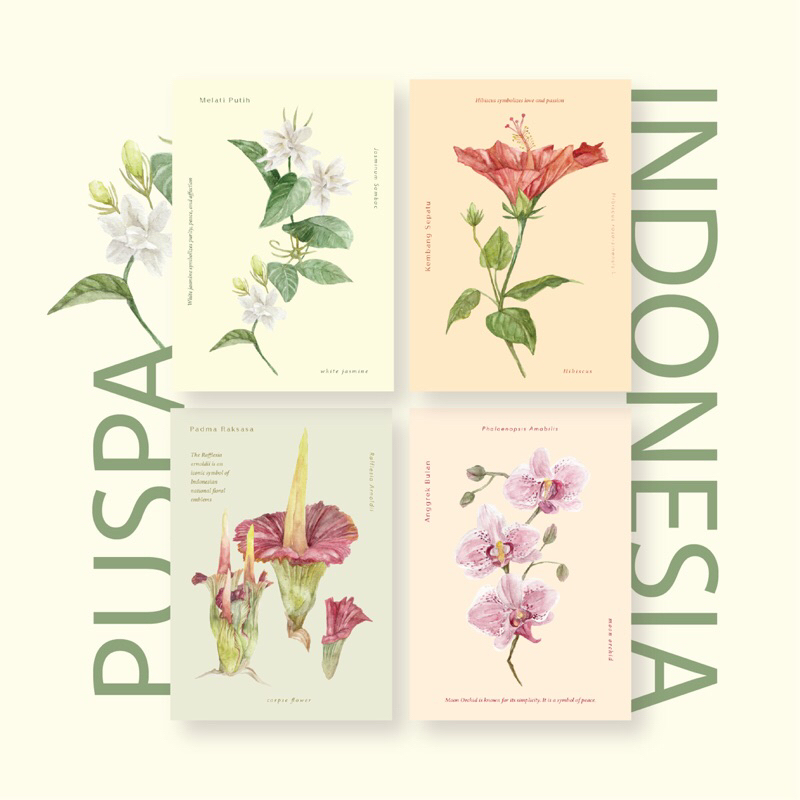 

Postcard Bunga Puspa Indonesia Tekkun