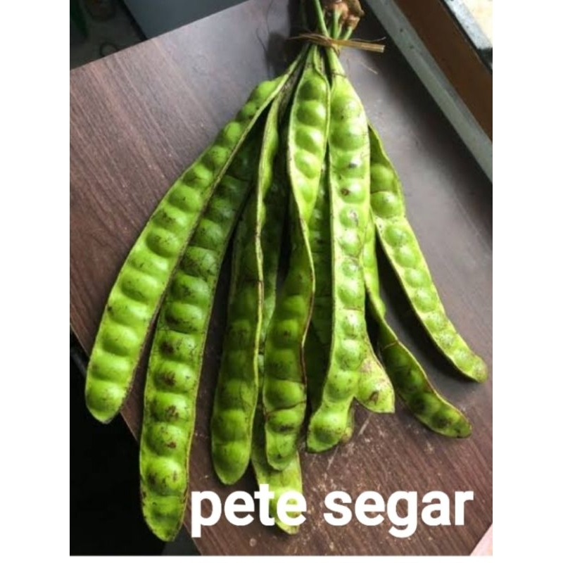 

pete segar 5 papan