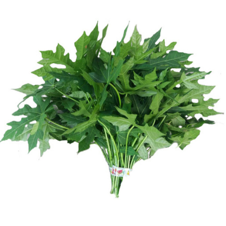 

Daun Pepaya Jepang 500gram