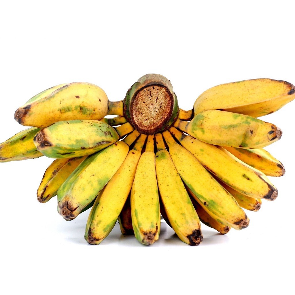 

Pisang Kepok satu sisir 1 Kg