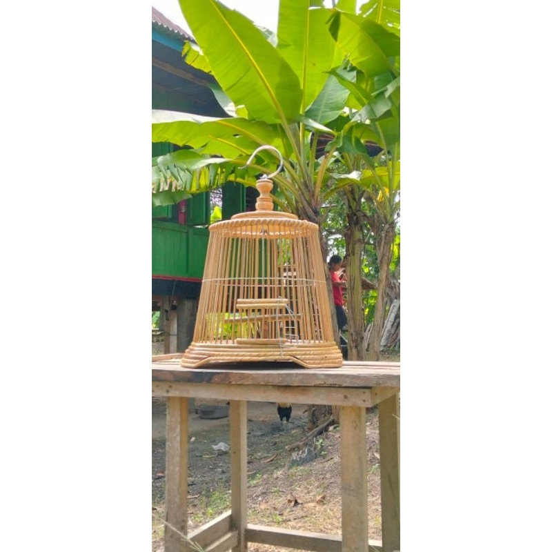 Sangkar burung minion